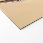 Minhwa Korean Ugly Tiger  Welcome Mat Gallery Image 2