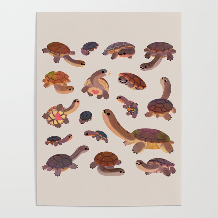 Snake-necked turtle Poster Gallery Image 4