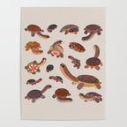 Snake-necked turtle Poster Gallery Image 4