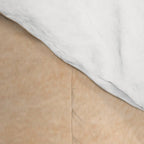 Plant Under a Dune Comforter Gallery Image 4