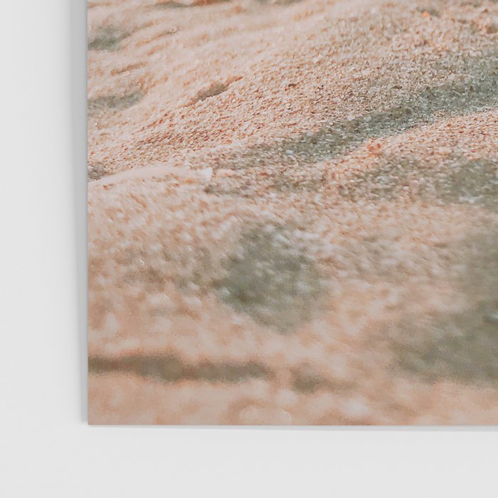seashells ii Poster Gallery Image 3
