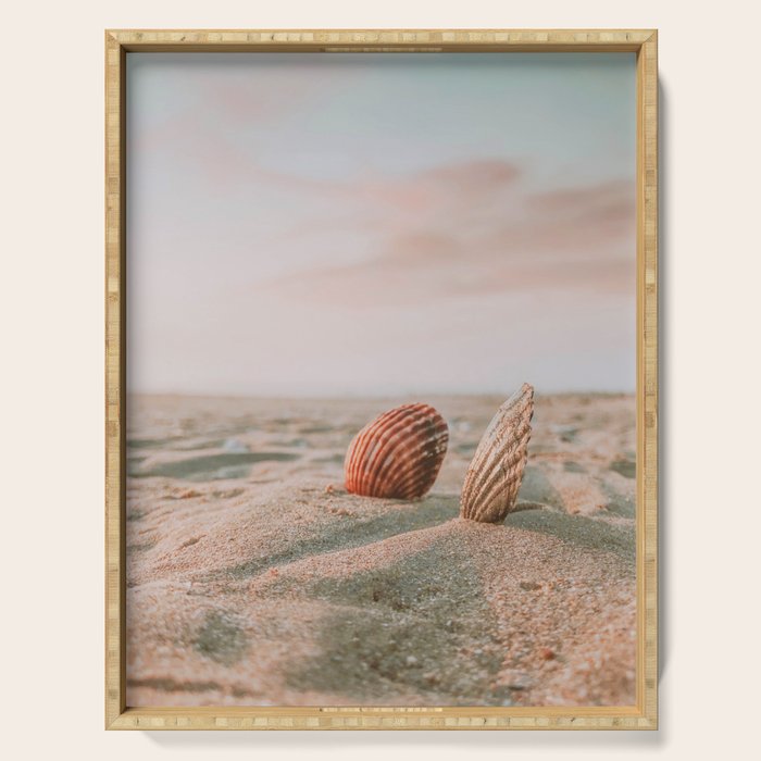 seashells ii Serving Tray Gallery Image 1