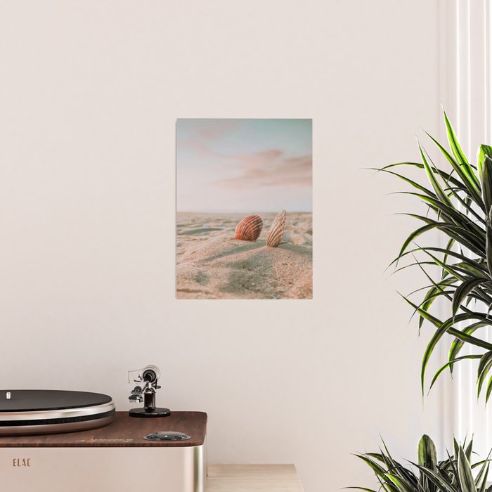 seashells ii Poster Gallery Image 2