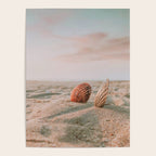 seashells ii Poster Gallery Image 4