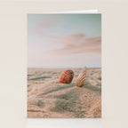 seashells ii Stationery Card Gallery Image 2