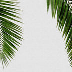 Palm Leaf I Coffee Mug Gallery Image 2
