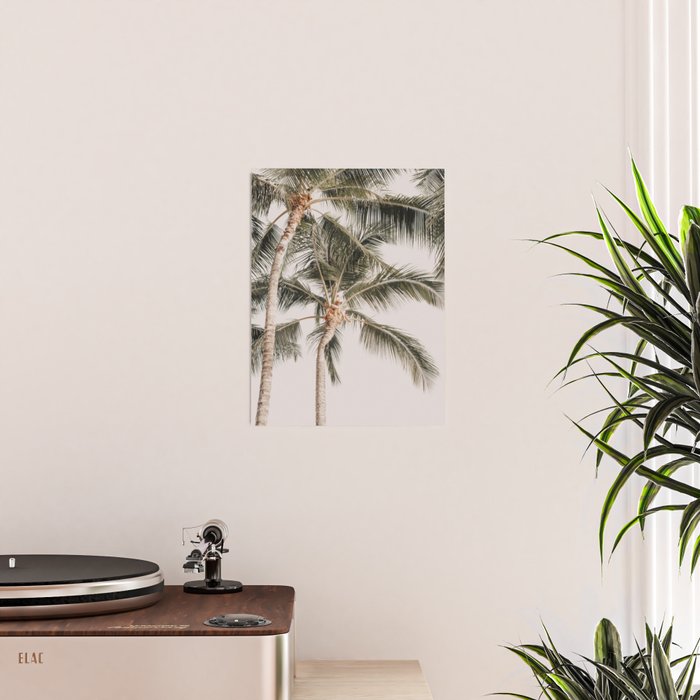 Hawaiian Palms Poster Gallery Image 2