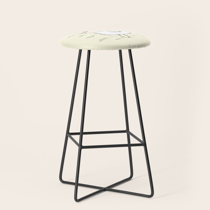 Anatomy of a Chicken Stool Gallery Image 1