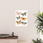 Garden Butterflies Poster Gallery Image 2
