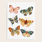 Garden Butterflies Poster Gallery Image 4
