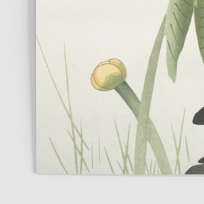 Dragonfly on Lotus Flower - Vintage Japanese woodblock print art Poster Gallery Image 3