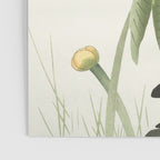 Dragonfly on Lotus Flower - Vintage Japanese woodblock print art Poster Gallery Image 3