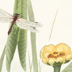Dragonfly on Lotus Flower - Vintage Japanese woodblock print art Coffee Mug Gallery Image 2