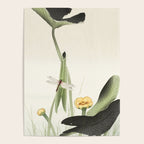 Dragonfly on Lotus Flower - Vintage Japanese woodblock print art Poster Gallery Image 4