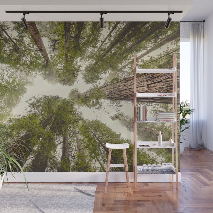 Into the Mist - Nature Photography Wall Mural Gallery Image 1