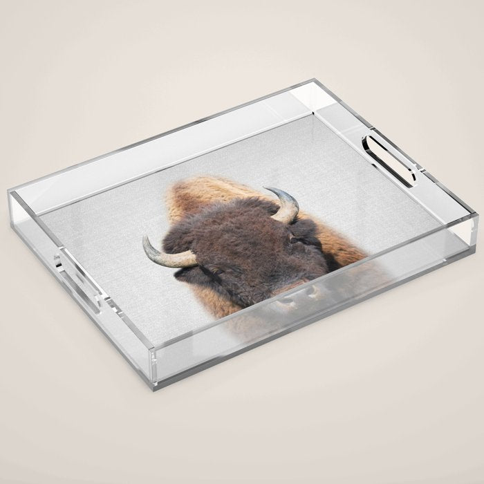 Buffalo - Colorful Acrylic Tray Gallery Image 1
