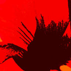 Large Red Poppy Orange Background #decor #society6 #buyart Coffee Mug Gallery Image 2