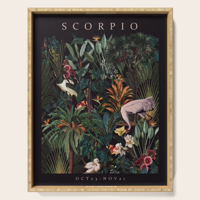 SCORPIO II Serving Tray Gallery Image 1
