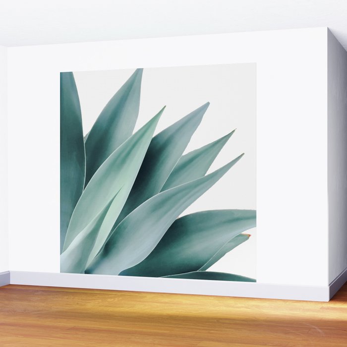 Agave flare II Wall Mural Gallery Image 2