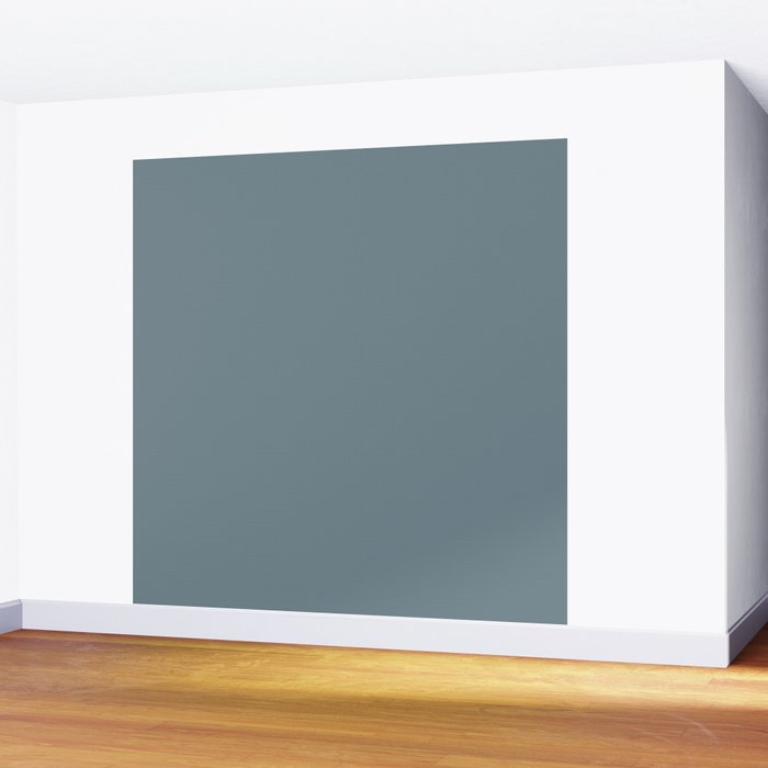 Medium Neutral Blue Gray Solid  Wall Mural Gallery Image 2