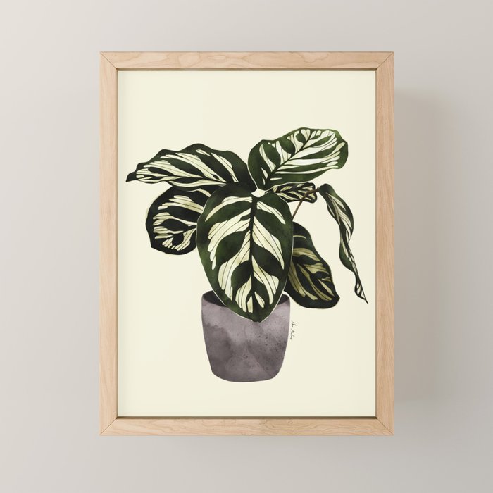 calathea botanical interior plant Mini Art Print Gallery Image 1