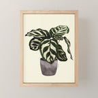 calathea botanical interior plant Mini Art Print Gallery Image 1