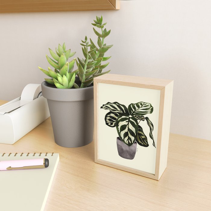 calathea botanical interior plant Mini Art Print Gallery Image 2