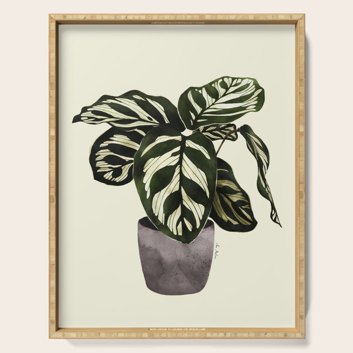 calathea botanical interior plant Serving Tray Gallery Image 1