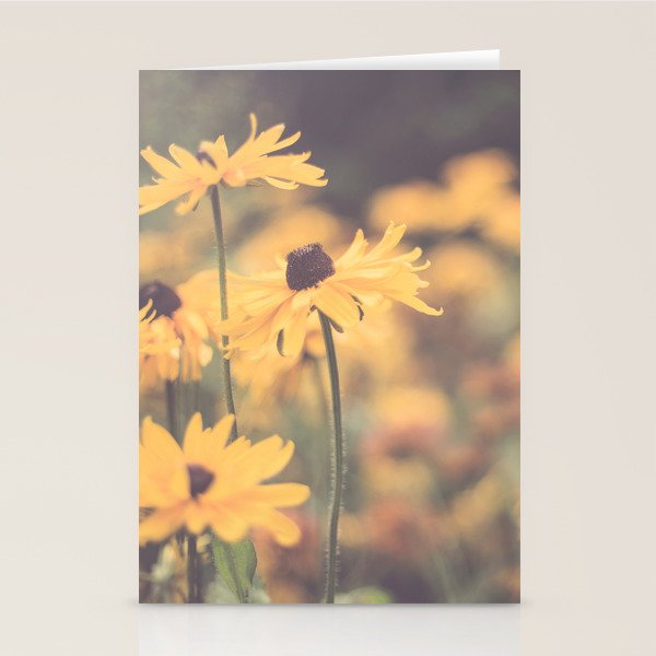 Summer Flowers Stationery Card Gallery Image 2