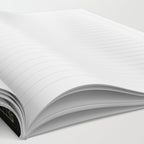 Cemetery Nights Notebook Gallery Image 2