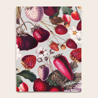 Strawberry Fields Forever Notebook Gallery Image 4