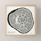 Ponderosa Pine - Black Mini Art Print Gallery Image 1