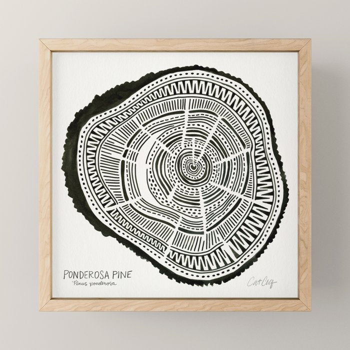 Ponderosa Pine - Black Mini Art Print Gallery Image 1