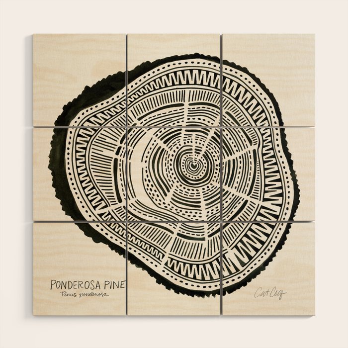 Ponderosa Pine - Black Wood Wall Art Gallery Image 1