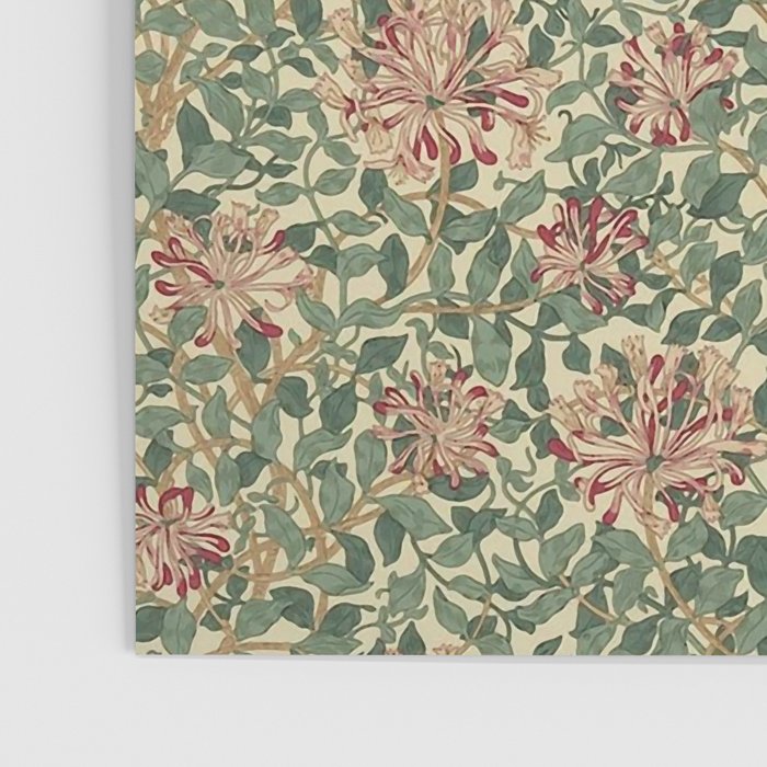 William Morris "Honeysuckle" 1. Poster Gallery Image 3