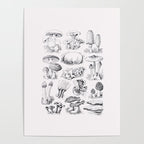 Mushroom Collection Poster Gallery Image 4