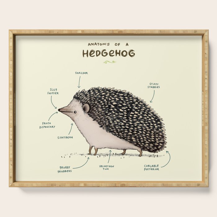 Anatomy of a Hedgehog Serving Tray Gallery Image 1