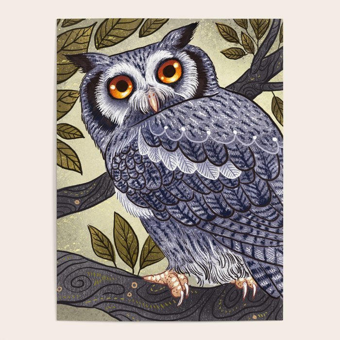 White Faced Owl Poster Gallery Image 4