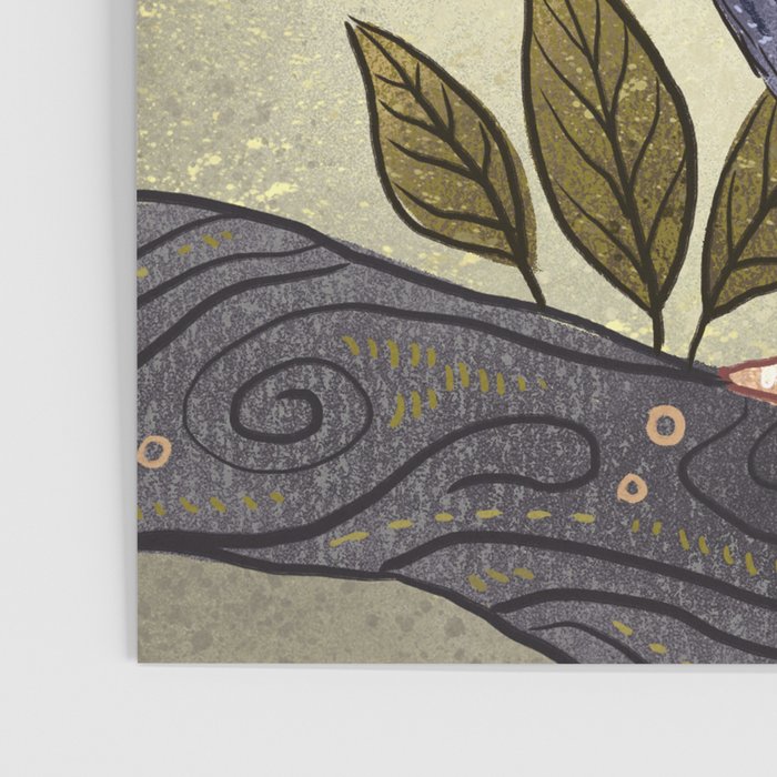 White Faced Owl Poster Gallery Image 3