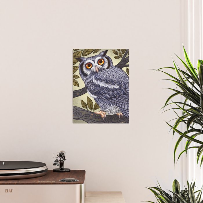 White Faced Owl Poster Gallery Image 2