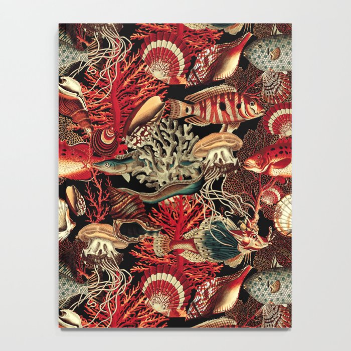 Fish and Corals Notebook Gallery Image 4