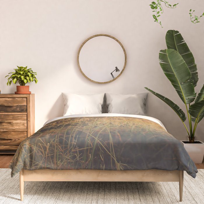 Golden - Beach vegetation at sunset - Botanic, nature and golden light Comforter Gallery Image 3
