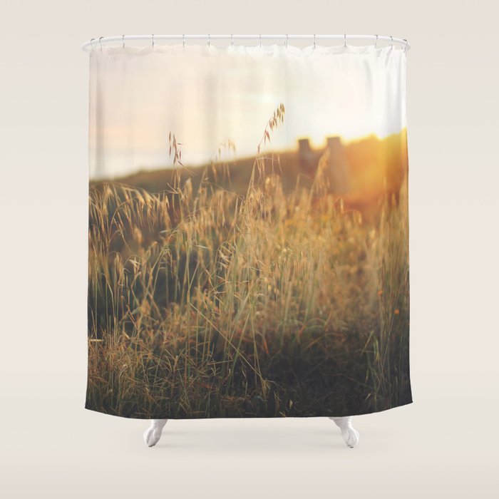Golden - Beach vegetation at sunset - Botanic, nature and golden light Shower Curtain Gallery Image 1