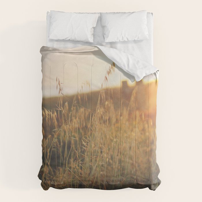 Golden - Beach vegetation at sunset - Botanic, nature and golden light Comforter Gallery Image 1