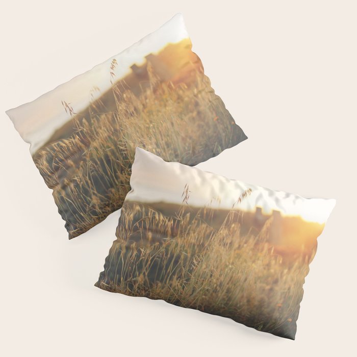 Golden - Beach vegetation at sunset - Botanic, nature and golden light Pillow Sham Gallery Image 3