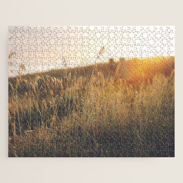 Golden - Beach vegetation at sunset - Botanic, nature and golden light Jigsaw Puzzle Gallery Image 1