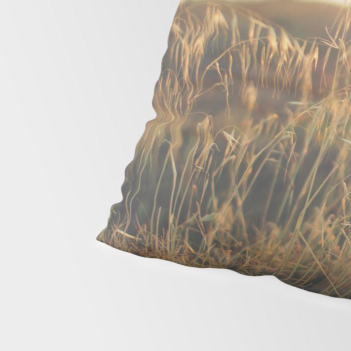 Golden - Beach vegetation at sunset - Botanic, nature and golden light Pillow Sham Gallery Image 4