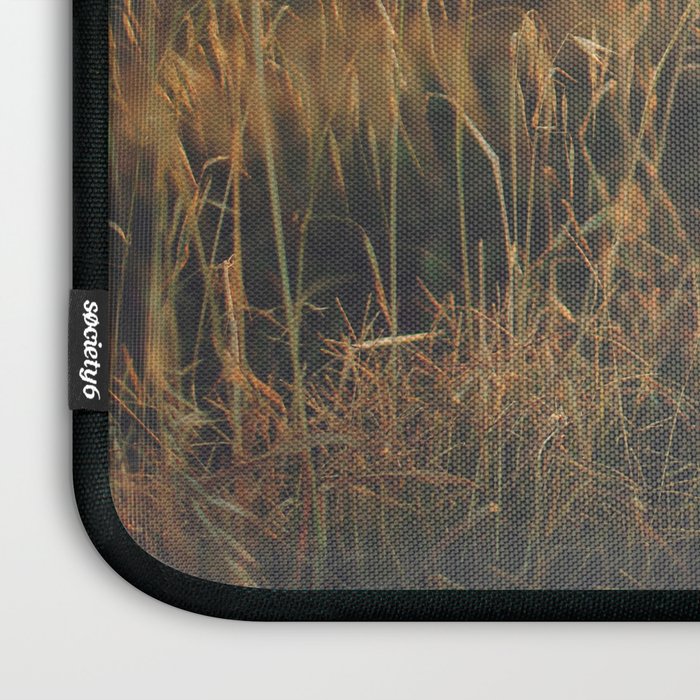 Golden - Beach vegetation at sunset - Botanic, nature and golden light Laptop Sleeve Gallery Image 3