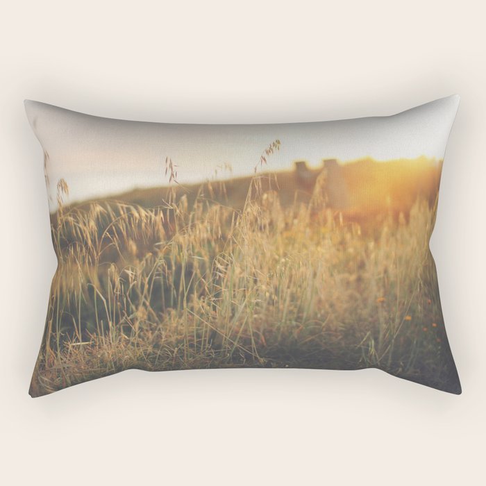 Golden - Beach vegetation at sunset - Botanic, nature and golden light Rectangular Pillow Gallery Image 1