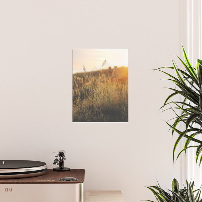 Golden - Beach vegetation at sunset - Botanic, nature and golden light Poster Gallery Image 2